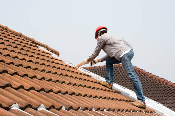 Best Emergency Roof Repair Services  in Westfield, PA